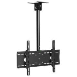 Ceiling Mounts